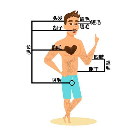 肚子長一根白毛|身上有一根毛特別長，是長壽象徵，還是癌變前兆？